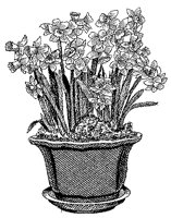 CGB50078.TIF