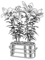 CGB50076.TIF