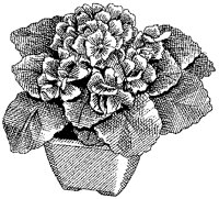 CGB50073.TIF