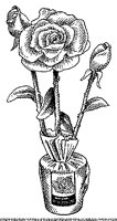 CGB50068.TIF