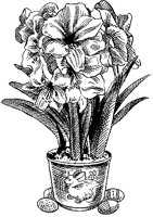 CGB50067.TIF