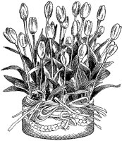 CGB50065.TIF