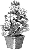 CGB50064.TIF