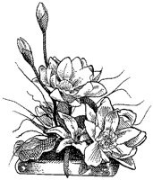 CGB50059.TIF