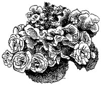 CGB50056.TIF