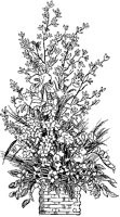 CGB50054.TIF