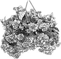 CGB50053.TIF