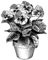 CGB50048.TIF