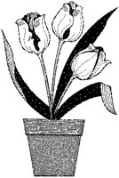 CGB50045.TIF