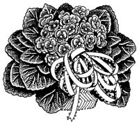 CGB50037.TIF