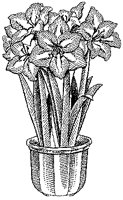 CGB50036.TIF
