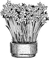 CGB50031.TIF