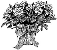 CGB50026.TIF