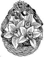 CGB50022.TIF