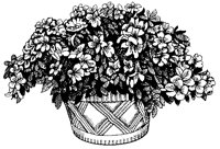 CGB50021.TIF