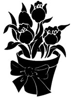 CGB50014.TIF