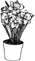 CGB50010.TIF