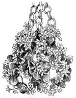 CGB50004.TIF