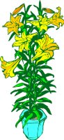 CGB00239.WMF
