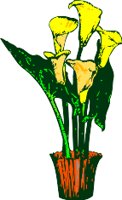 CGB00231.WMF
