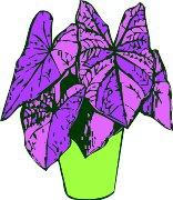 CGB00220.WMF