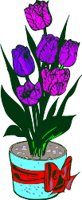 CGB00218.WMF