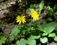 CGA51897.JPG
