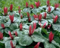CGA51855.JPG