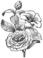 CGA51812.JPG