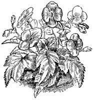 CGA51811.JPG