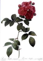 CGA51735.JPG