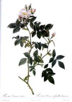 CGA51734.JPG