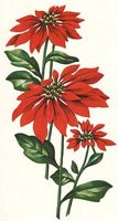 CGA51714.JPG