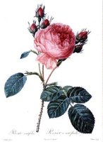 CGA51705.JPG