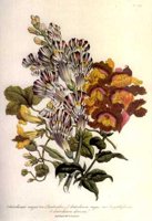 CGA51689.JPG