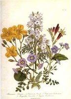 CGA51682.JPG