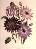 CGA51674.JPG