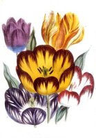 CGA51655.JPG