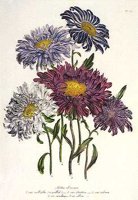 CGA51634.JPG