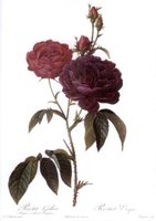 CGA51601.JPG