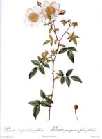 CGA51596.JPG