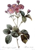 CGA51585.JPG