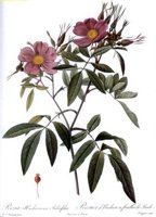 CGA51579.JPG