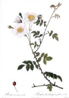 CGA51577.JPG