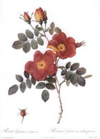 CGA51571.JPG