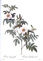 CGA51563.JPG