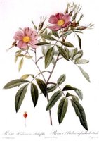 CGA51551.JPG