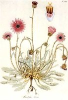 CGA51542.JPG