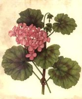 CGA51432.JPG