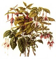 CGA51429.JPG